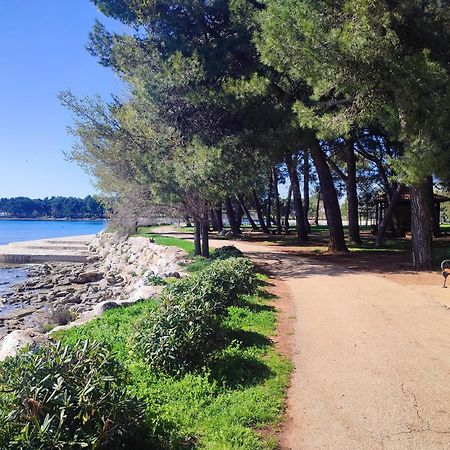 Apartments Novigrad Novigrad Istria المظهر الخارجي الصورة
