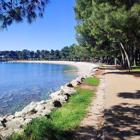 Apartments Novigrad Novigrad Istria المظهر الخارجي الصورة
