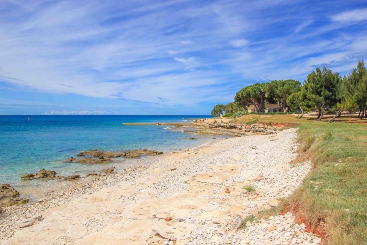 Apartments Novigrad Novigrad Istria المظهر الخارجي الصورة