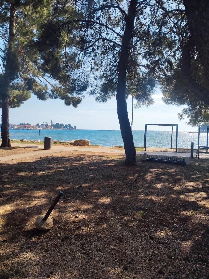 Apartments Novigrad Novigrad Istria المظهر الخارجي الصورة